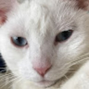 Meet your Posher, Chloe